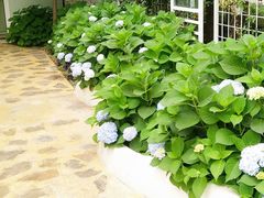 -三圣花乡旅游区