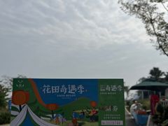 -空港花田景区