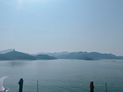 -望湖烤鱼