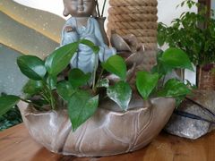 -茶油香闽南菜·花园餐厅(前埔店)
