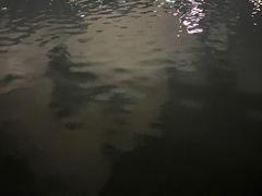 -光明港公园