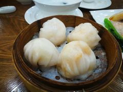 -富豪酒家(正大广场店)