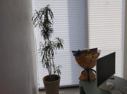-颜蕾医美·黄金微针·水光·玻尿酸·超声炮·抗衰中心
