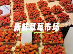 -葑门横街