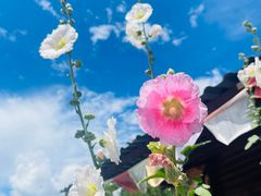 -丽江泸沽湖景区