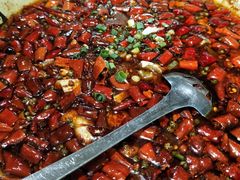 -青城甲(青城山店)