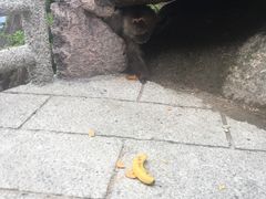 -黄山玉屏楼宾馆餐厅