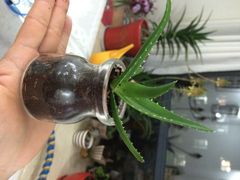 85度C(九亭店)-85度C(上海松江九亭店)