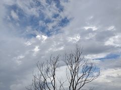 -良渚古城遗址公园
