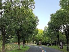 -南湖湿地公园