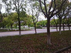 -安飞驰驾校·学车连锁(金高店)