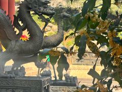 -宫事颐庭·老佛爷贵寿下午茶(颐和园店)