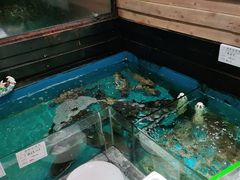 -中苑海韵