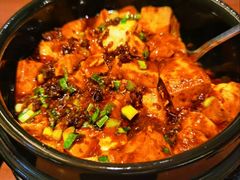 -陈麻婆豆腐(旗舰店)