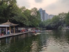 -晓港公园