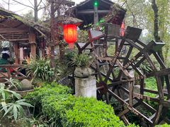 -青城甲(青城山店)