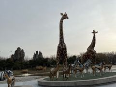 -北京野生动物园