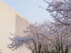 -龙美术馆(西岸馆)