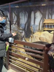 -酷嗒动物文化乐园(cutezoo西溪乐天城店)