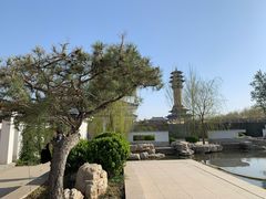 -廊坊市自然公园