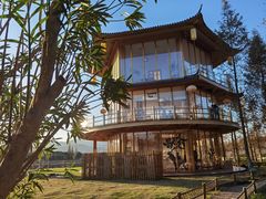-长田漾湿地公园