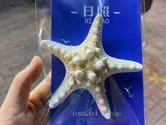 -大学城夜市