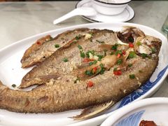 葱煎刁子鱼-海燕酒店(惠济路店)