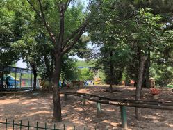 -大望京儿童游乐场