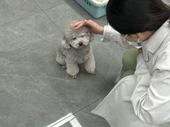 -贝利宠物医院·骨科·眼科·肿瘤转诊中心(南坪诊疗中心)