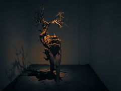 -苏州本色美术馆