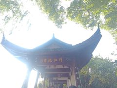-西湖游船
