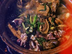 -霞姐屯昌枫木香草鸭店(海螺店)