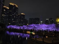 -西北湖绿化广场