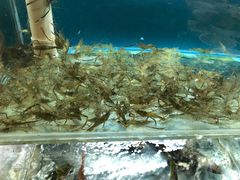 -阿马蛋汤·宁波小海鲜(总店)