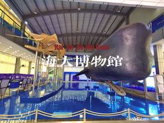 -上海海洋大学鱼文化博物馆(军工路校区)