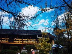 -腾冲国萍农家乐