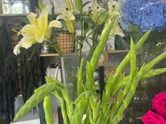 -ChaKo Flora ·茶子花艺 (市北店)