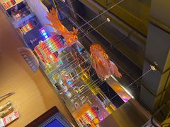 -咕嘟草帽鱼·牛奶一样的鲜鱼汤(包河万达广场创始店)