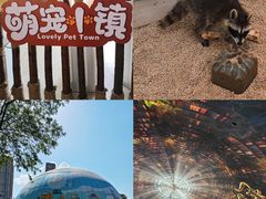-海合安武汉极地海洋公园