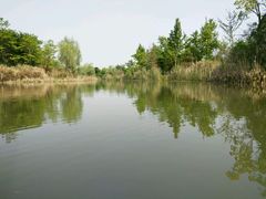 -梁鸿国家湿地公园