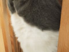 -颐玖 咖啡|甜品