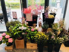 -简屋书店