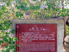 -爱新觉罗皇家博物院