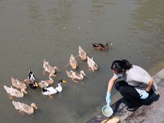 -宁波柏悦酒店·钱湖渔港