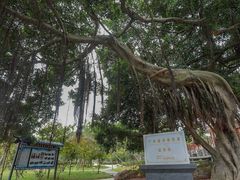 -黄埔军校旧址纪念馆