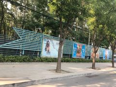 -枫花园汽车电影院(朝阳公园店)