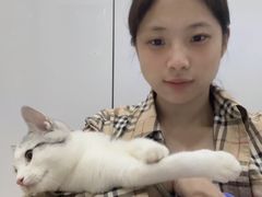 -pd派德宠物中心医院24H急重症·眼科中心·血液透析中心(嵩山北路店)