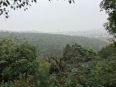 -雨花胜境