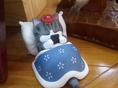 -参差咖啡(水果湖公园店)