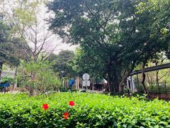 -星巴克(深圳侨城街店)